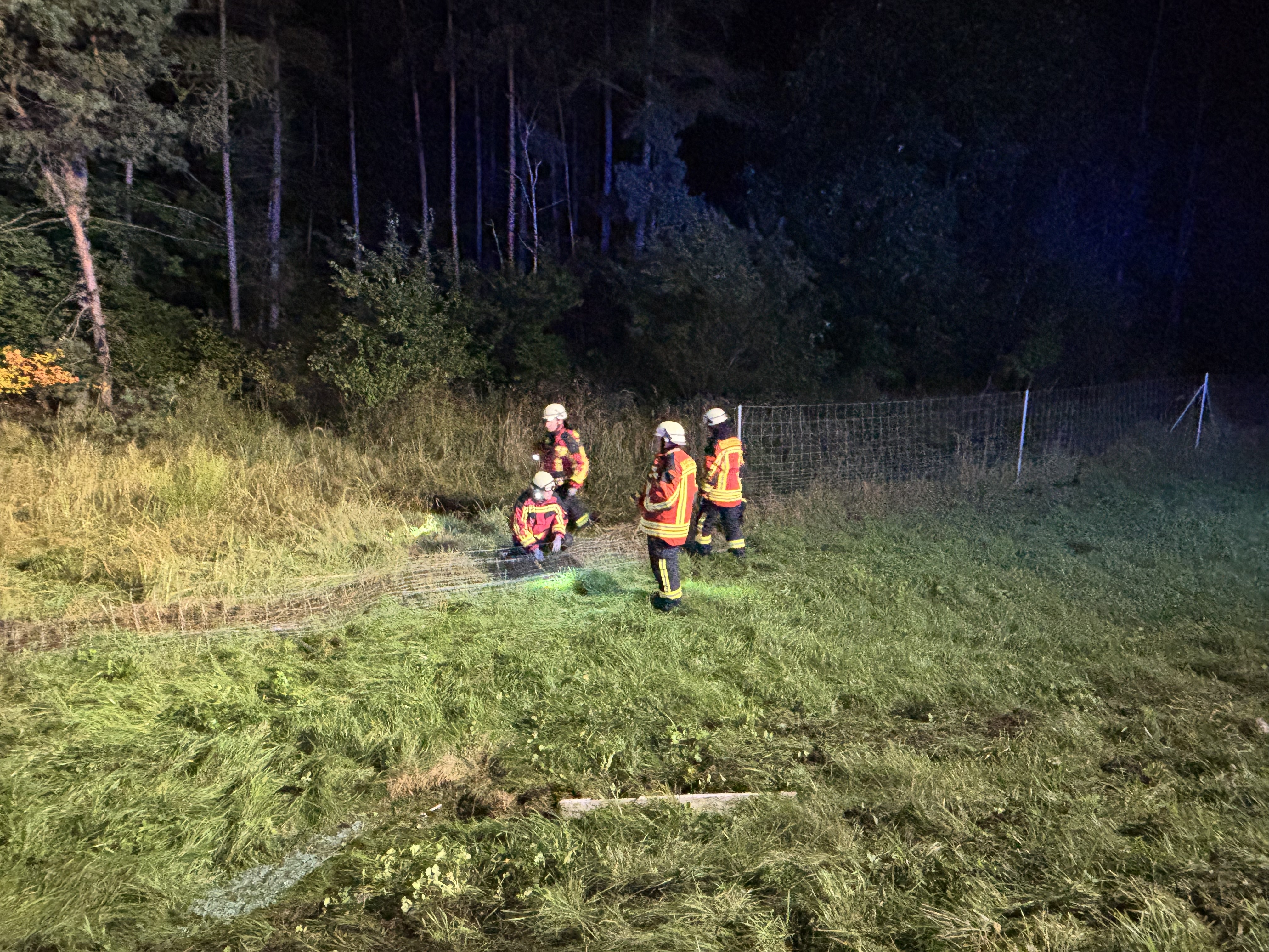 24-10-01 01-08-07 8653.jpg